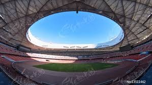 赛马冠军比NBA冠军还激动？约基奇爱马夺冠，欣喜若狂瞬间全记录！